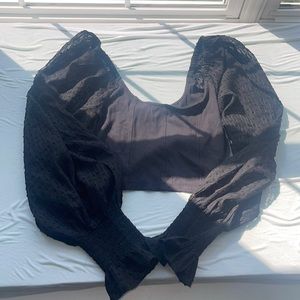 Rubber Crop Too with Sheer Sleeves